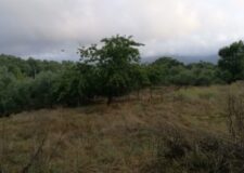 Cooperativa-la-collina-gallery-2
