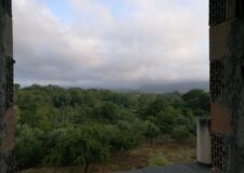Cooperativa-la-collina-gallery-6